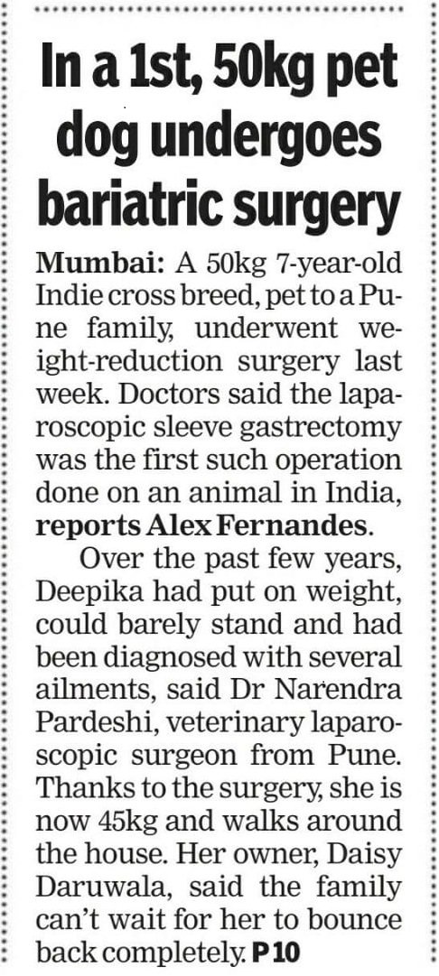 Laparoscopic sleeve gastrectomy surgery on Pet Dog